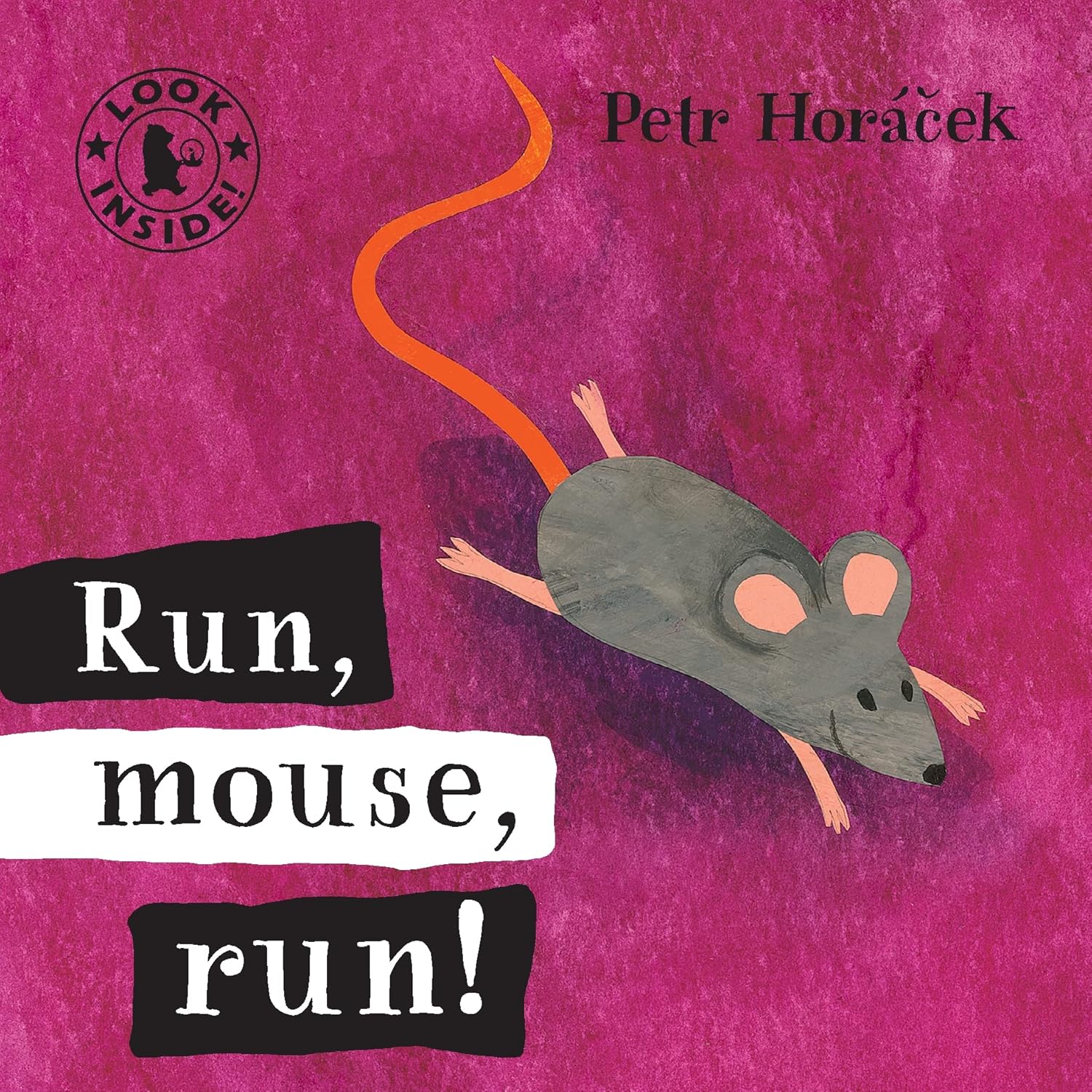 Petr horacek boardbook [6 book SET]