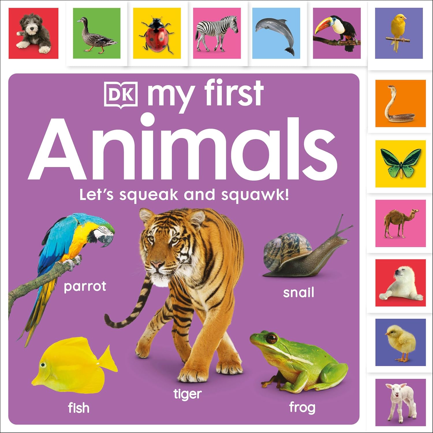 DK my first SET [14 books]