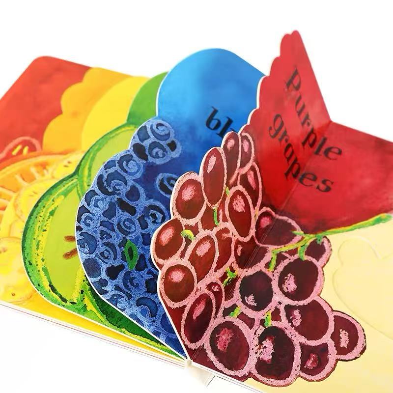 Petr horacek boardbook [6 book SET]