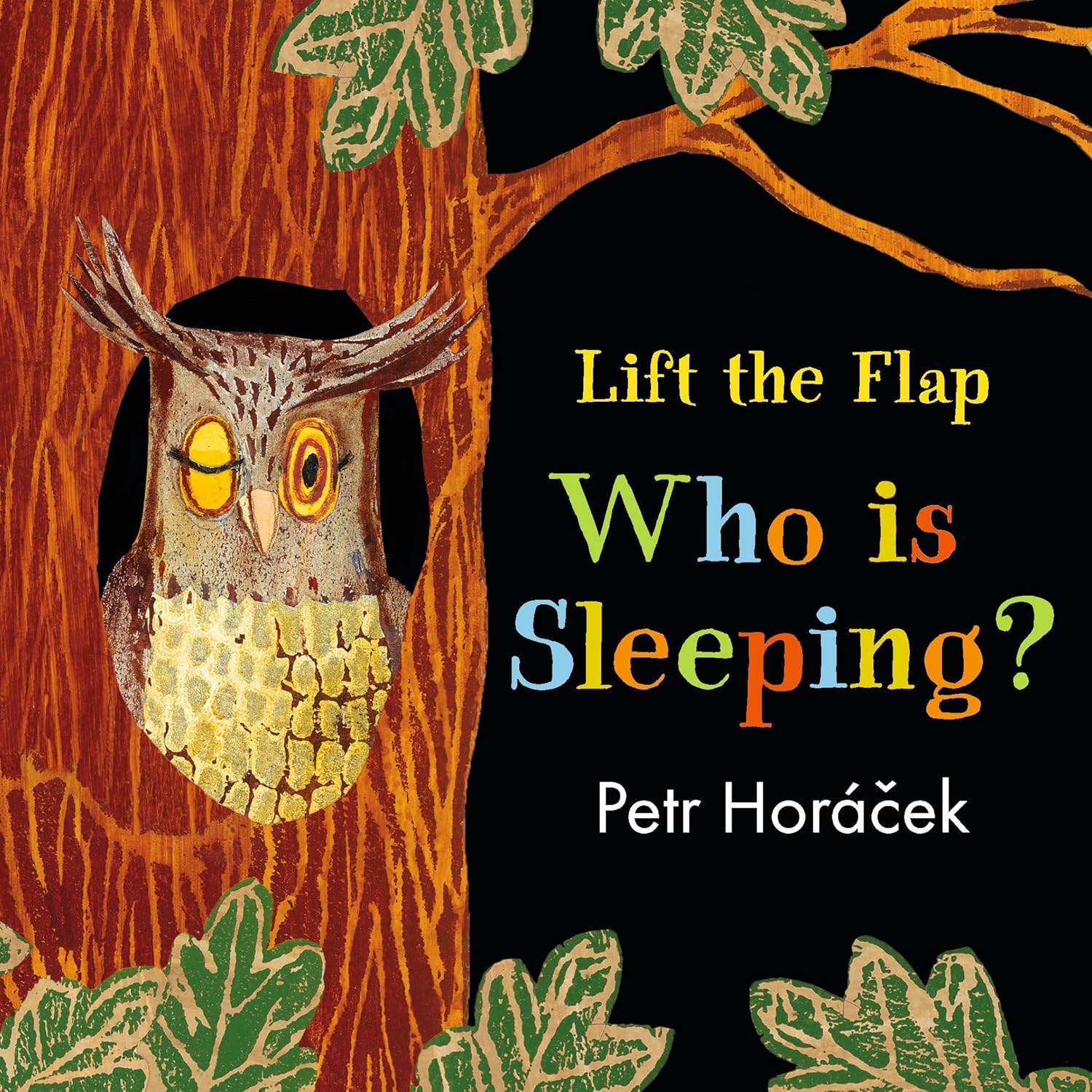 The colorful world of Petr Horacek [5 books SET]