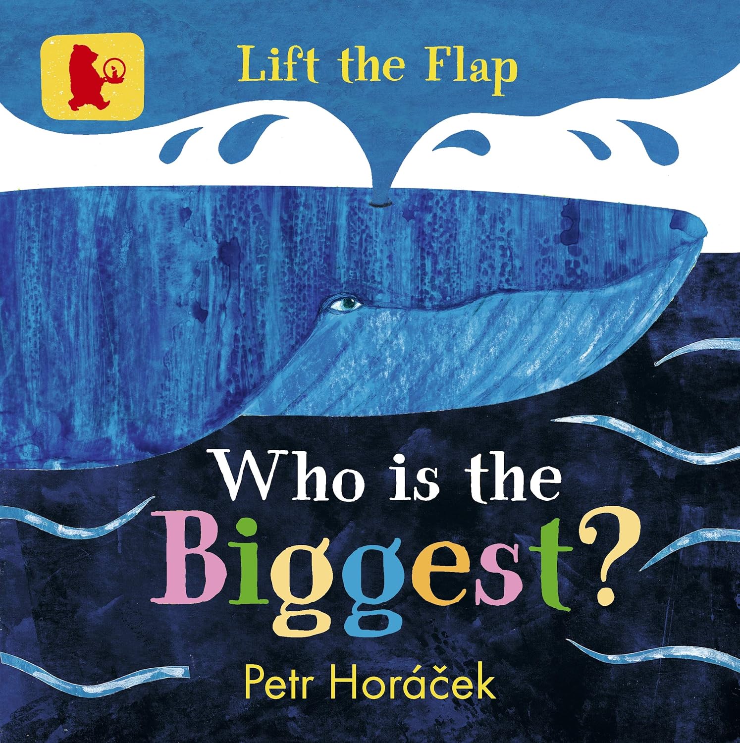 The colorful world of Petr Horacek [5 books SET]